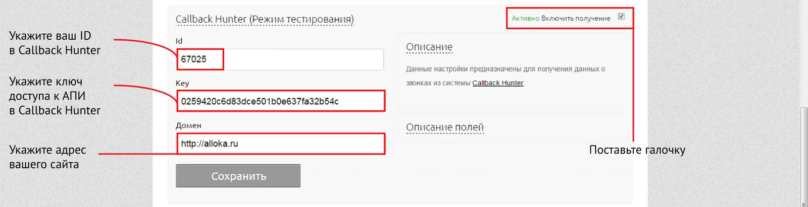 Поля адреса сайта, ID и ключа API в настройках интеграции с Callback Hunter